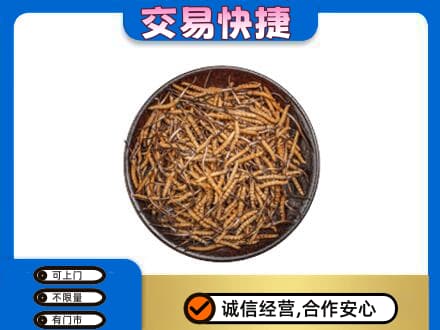 绥化礼品回收虫草.jpg
